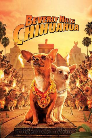 /uploads/images/nhung-chu-cho-chihuahua-thumb.jpg